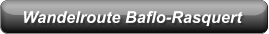 Wandelroute Baflo-Rasquert