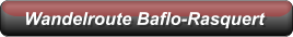 Wandelroute Baflo-Rasquert