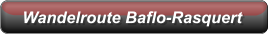 Wandelroute Baflo-Rasquert